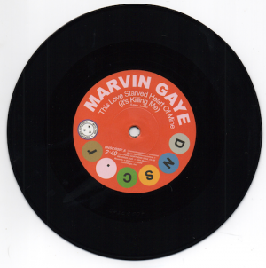 Marvin Gaye - This Love Starved Heart Of Mine / Shorty Long - Don't Mess With My Weekend 45 (DNSC) 7