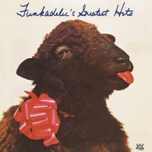 Funkadelic - Greatest Hits LP Vinyl Album (Westbound)