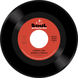 Vaneese & Carolyn - Goodbye Song / Just A Little Smile (From You) 45 (Soul Brother) 7