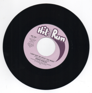 Ernie Shelby - I May Not Be What You Want / I'll See You Through 45 (Hit & Run) 7