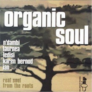 Organic Soul Volume 1 Real Soul From The Roots - Various Artists CD (Soul Brother)