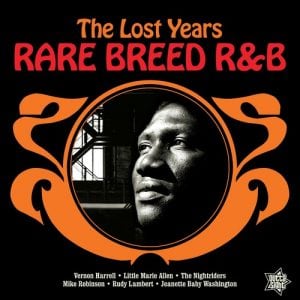 Rare Breed R&B - The Lost Years - Various Artists LP Vinyl (Outta Sight)