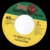 The Coalitions -The Memory Of You / On The Block 45