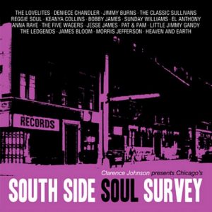 South Side Soul Survey - Various Artists CD (Soulscape)