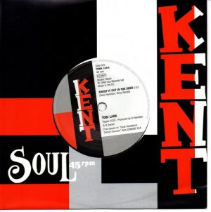 Tobi Lark - Sweep It Out In The Shed 7